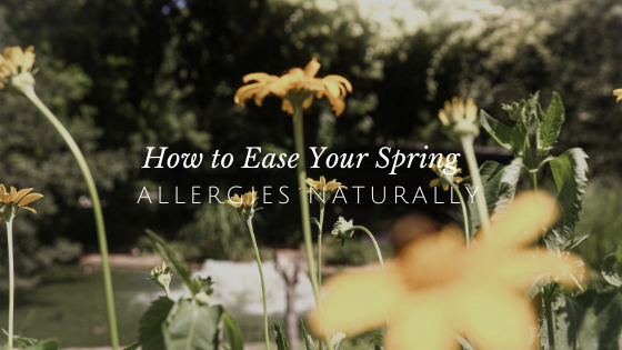 How to Ease Your Pesky Spring Allergies Naturally